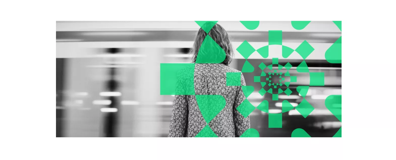 Climate Collider Climate Collider